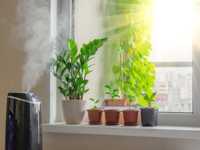 Снимка: istock