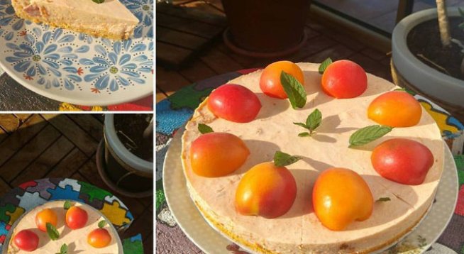 За блата: 
2 яйца
100 г сушени кайсии
2 с.л.пълнозърнесто брашно (може и всякакво друго –ябълково, оризово, лимецово и т.н.)
½ бакпулвер

За крема:
500 г Кайсии
500 г овче кисело мляко
10 г желатин + 100 мл вода
1 с.л. мед