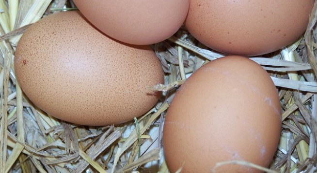 яйца
шунка
маргарин
сирене 