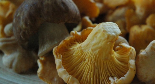 500 г гъби, каквито обичате
50 г масло
150 мл бяло вино
няколко стръка нарязан магданоз
4 скилидки стрит чесън
1 супена лъжица брашно
сол и черен пипер