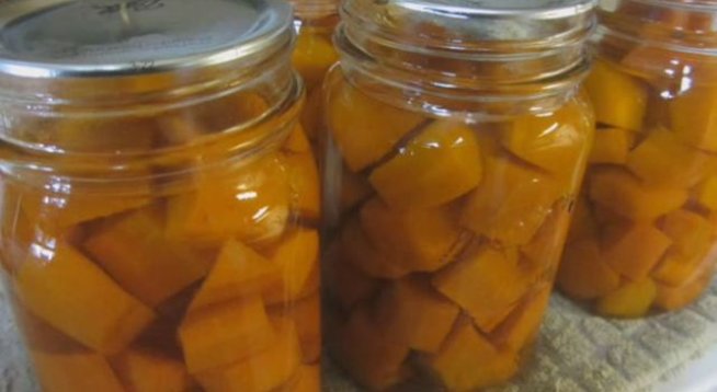1 кг моркови, нарязани на кръгчета/кубчета
3 супени лъжици ябълков оцет
1 супена лъжица сол
5-6 скилидки чесън
1 връзка пресен копър
4-5 зърна бахар
1 щипка захар