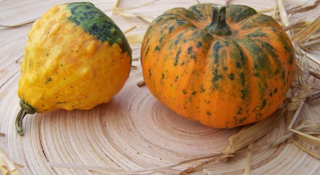 Най-вкусните супи с тиква
моркови
лук
сметана
крутони
овесени ядки