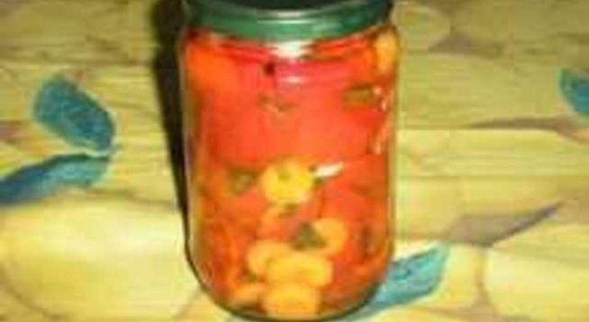Рязани камби
