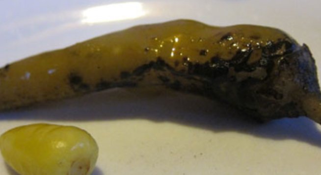 Всички добри рецепти с люти чушки на едно място