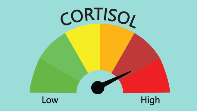 Лесни трикове за намаляване на кортизола