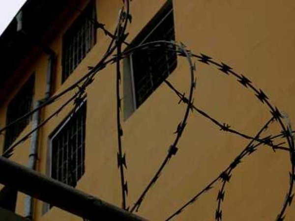 Дори през бодливата тел късчето небе дава надежда.