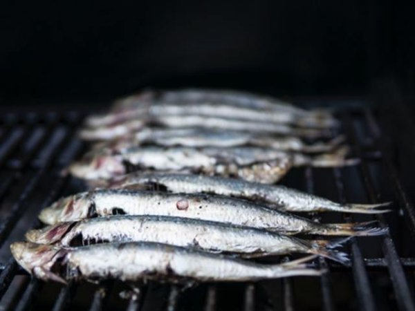 Сардини
Тези малки рибки са наситени с омега-3 мастни киселини, необходими за здравето на сърцето, намаляващи риска от появата на сърдечносъдови заболявания. В допълнение към сардините, други риби, богати на омега-3 са сьомга, скумрия и херинга, както и други мазни риби. Също така, сардините ни осигуряват и витамин В12, който е необходим за нормалното кръвообращение.&nbsp;&nbsp;Снимка: pexels
