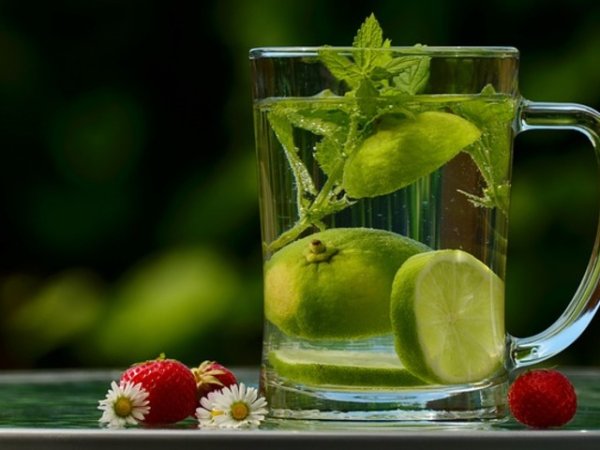 Вода с лимон/лайм
Чудесна напитка за старт на деня, която ще събуди храносмилателната система, ще ви зареди с енергия. Комбинация от вода и сок от лимон, оказва влияние върху чернодробните ензими, като по този начин стимулира този важен орган и ускоряват елиминирането на токсините. Лимонът е плод, който действа като естествен лек диуретик, който поддържа уринарния тракт, помагайки му да елиминира токсините. Снимка: pixabay