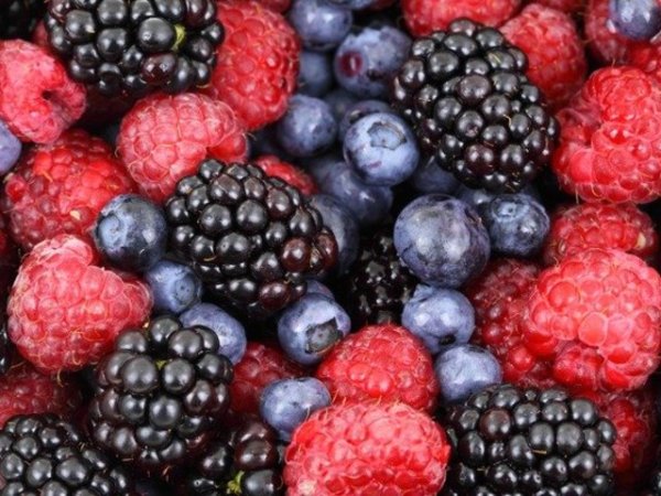 Горски плодове
Горските плодове са богати на флавоноиди, витамин С и манган, фитохимикали като цианидин, кемпферол и ресвератрол, за които се смята, че могат да намалят риска от рак на гърдата. В допълнение, ароматните плодове съдържат малко захари и калории, но добри количества фибри, което ги прави подходящи и за здравословна диета.&nbsp;&nbsp;Снимка: pixabay