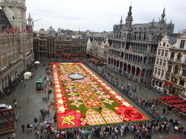 Килимът от цветя в Брюксел &nbsp;&nbsp;&nbsp;Снимка: Reuters