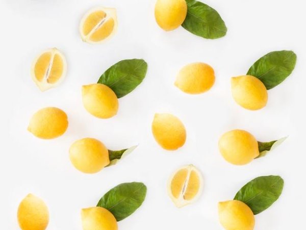 Алое вера и лимонов сок
Цитрусовите плодове изобилстват от витамин С. Той действа не само изсветляващо, но и укрепва кожата. Както гелът от алое, така и пресният лимонов сок, действа като естествен ексфолиант и има избелващи свойства.&nbsp; Лимонената киселина в него стяга кожата.&nbsp;За да си направите грижа срещу тъмни кръгове комбинирайте 1 ч.л. гел от алое вера с няколко капки пресен лимонов сок. Нанесете маската за 10-15 минути върху тъмните кръгове. След като изплакнете, не забравяйте да подхраните кожата с крем. Правете тази грижа 1 - 2 пъти седмично. Снимка: pexels