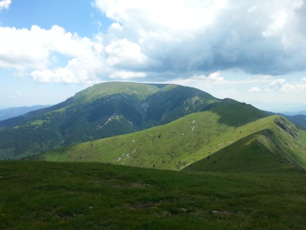 Старопланинското конче.&nbsp;Снимка: личен архив