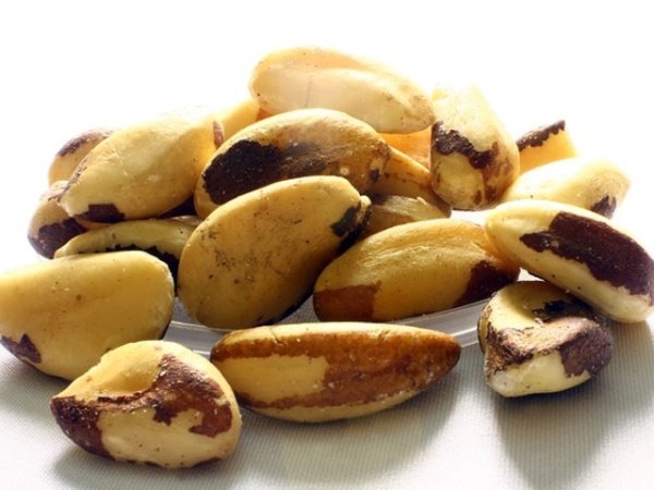 Бразилски орех
Благодарение на високото съдържание на фибри в него, бразилският орех подобрява храносмилането.&nbsp;Селенът, който се съдържа в ядките, подсилва имунитета. Въпреки че консумацията им намалява нивата на кръвната захар, бъдете внимателни, тъй като в големи количества тези ядки са токсични.&nbsp;Снимка: pixabay