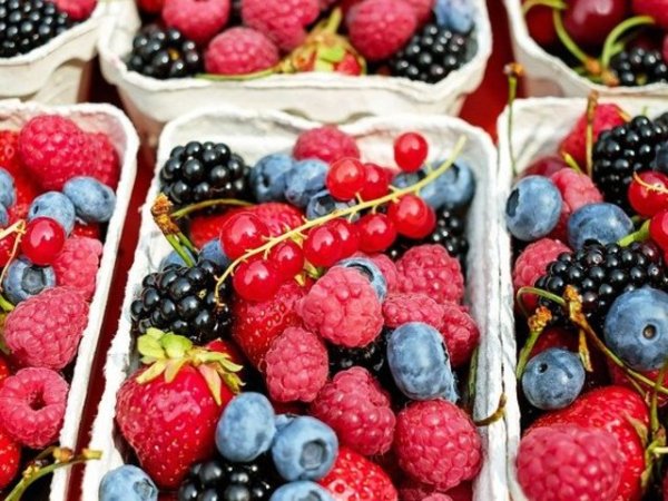 Горски плодове
Тези вкусни плодове изобилстват от антиоксидантни полифеноли, които помагат за намаляване на риска от сърдечни заболявания. Те са и чудесен източник на фибри, фолиева киселина, желязо, калций, витамин А и витамин С, допринасящи за здравето на сърцето, и са с ниско съдържание на мазнини и захари.&nbsp;&nbsp;&nbsp;Снимка: pixabay