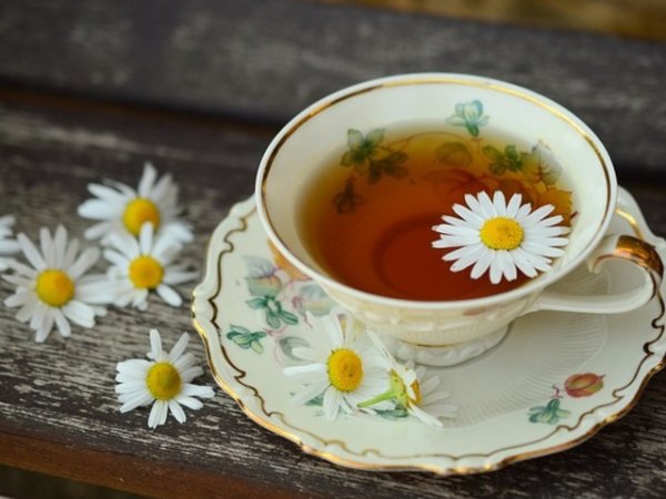 Чай от лайка
Кофеиновите напитки, както и чайовете, които съдържат кофеин са лоша идея, когато страдате от пролетна умора. Те предизвикват допълнително сриване на енергийните нива, могат да нарушат добрия сън и в същото време да повишат нивата на хормона на стреса кортизол. От друга страна, чаят от лайка е чудесен за намаляване симптомите на умората. Релаксиращите билки като лайката, имат успокояващ ефект върху ума и тялото, като минимизират тревожността и стреса, които умората може да причини.&nbsp;Снимка: Pixabay