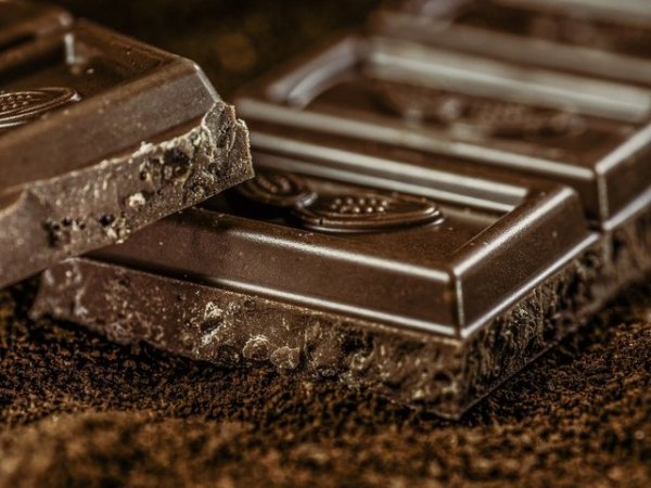 Тъмен шоколад
Освен че можем да си го позволим по време на диета, черният шоколад с високо съдържание на какао, оказва се, има редица ползи за мозъчното здраве, смятат специалисти. Консумацията му повишава концентрацията, антиоксидантите в какаото намаляват риска от деменция, магнезият намалява нивата на тревожност и стрес, подобрява кръвния поток към мозъка, подобрява и настроението ни. Снимка: pixabay