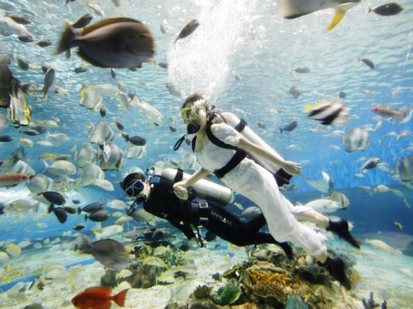 Сватба в океана, но всред красиви риби и корали. Снимка: Reuters