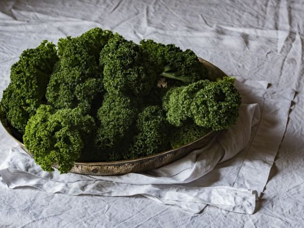 Зеле кейл
Зелето кейл, както и другите листни зеленчуци, са богати на хранителни вещества, които са свързани със здравето на ставите, включително антиоксидантите бета-каротин и витамини К и С. Някои от тях, включително броколи, боб, спанак са добър източник на калций.
Снимка: unsplash