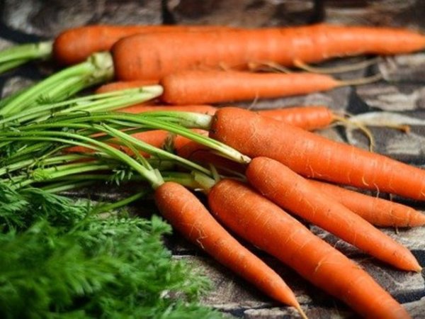 Моркови
Морковите са богати на калий, бета-каротин. За консумацията им се смята, че помага за забавяне процесите на стареене на кожата, хидратира я, предпазва я от UV лъчите. Морковите са чудесни за домашни маски за лице, а&nbsp;тук може да видите&nbsp;защо е толкова полезен сокът приготвен от тях.&nbsp;Снимка: pixabay