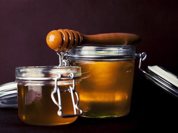 Мед
Суровият мед е известен със своите антибактериални свойства, за които се смята, че се борят с акнето и псориазиса. Освен това медът хидратира кожата, стяга я, но разбира се важно условие е той да бъде качествен продукт. Медът от манука например е сочен за един от най-добрите видове мед за красива и здрава кожа. Снимка: pixabay