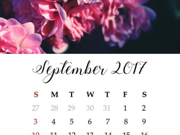 Септември
Добрата новина е, че хората, родени през септември, октомври и ноември, не са подложени на риск от депресия или биполярно разстройство. Но ако вашият рожден месец е септември, трябва да се погрижите за здравето на костите и щитовидната жлеза. Мъжете могат да страдат от астма, а жените от тумори.&nbsp;Снимка: pixabay