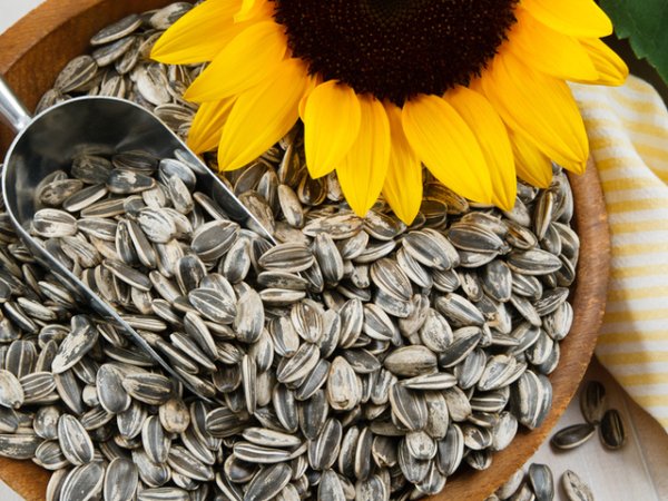 Слънчогледови семена&nbsp;В само 30 грама слънчогледови семки се съдържат цели 10 милиграма витамин Е. Най-полезни са суровите неосолени семена. Снимка: istock