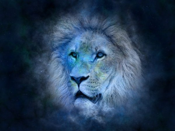 Зодия Лъв
Лъвът ще бъде пълен с нови идеи, вдъхновение, мисли за бъдещето. Ще се почувства леко и свободно. Комуникациите ще му се получават с лекота и споделяйки своите идеи с приятели, партньори да постига успехи. Снимка: pixabay