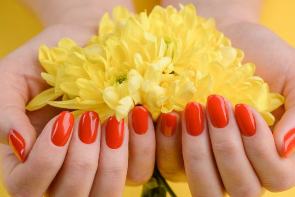 Яркост! Снимка: istock