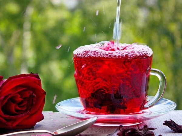 Чай от хибискус
Още от първата глътка се чувстваме освежени с този чай. Леко кисел, също като чая от шипки, чаят от хибискус е напитка, която е богата на витамин С. Смята се, че консумацията му благоприятства функцията на черния дроб, спомага за намаляване на високото кръвно налягане, за баланс на холестерола. Не на последно място намалява риска от камъни в бъбреците. Снимка: pixabay