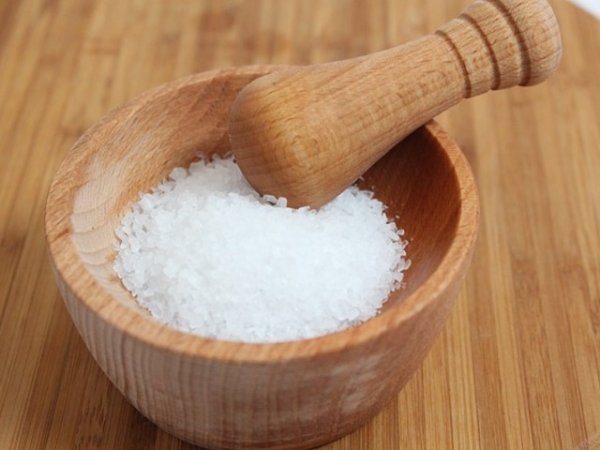 Сол
Солта е бяла подправка, която трябва да консумирате с повишено внимание. Тя е необходима на тялото ни за правилния баланс на течностите. Въпреки това излишните количества могат да доведат до задържането на излишни течности, покачване на кръвното налягане. Ако се опитвате да отслабнете и регулирате нивата на кръвното си, редуцирайте драстично приема на сол. Снимка: pixabay