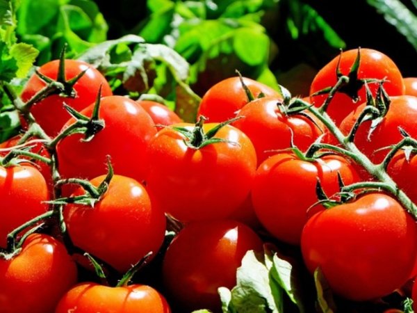 Домати
Доматите са отличен източник на ликопен, който по естествен начин предпазва кожата от увреждането от UV лъчите. За да се възползвате от ползите на ликопена е важно да хапвате доматите свежи или да ги обработвате съвсем малко термично.&nbsp;Други важни хранителни елементи съдържащи се в тях са витамини К1, С, А, калий, калций, магнезий.&nbsp;Снимка: pixabay