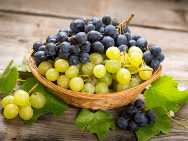 Грозде&nbsp;Сочният плод е не просто вкусен и сладък. Той съдържа витамин К в големи количества. Само в &frac34; чаша грозде се съдържат приблизително 25% от необходимите дневни дози калций.&nbsp;Снимка: istock