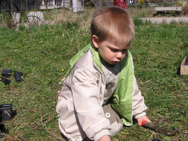 На 25 март 2007 г. - Благовещение, пред Майчин дом в София засадихме заедно 300 цветя в красива леха.  
Прочетете повече