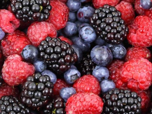 Горски плодове
Ароматните горски плодове са невероятен източник на фибри и хранителни вещества, които изгарят излишните мазнини. Високото съдържание на фибри в тях, осигурява ситост, което намалява риска от преяждане. Боровинките и малините повишават метаболизма, благодарение на съставката, известна като антоцианин.
&nbsp;Снимка: pexels