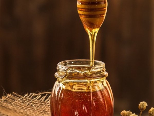 Пчелен мед
Любимата храна на Мечо Пух също е естествен антибактериален агент. Изследванията показват, че пчелният мед може да елиминира над 60 различни вида бактерии. Освен за консумация, медът подобрява състоянието на кожата след повърхностни изгаряния и рани. Снимка: Pixabay