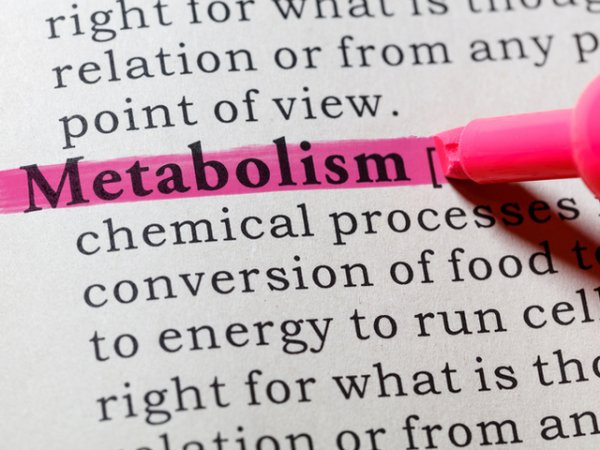 Метаболизмът ни се забавя
Балансираният метаболизъм е в основата на това да поддържаме добра фигура.&nbsp;Тялото ще забави основната си метаболитна скорост, за да компенсира калорийното ограничение, когато не закусваме. Също така по време на сън, метаболизма ни е по-бавен, а продължителното гладуване ще намали &bdquo;желанието&ldquo; на организма ни да изгори калории и да повлияе на загубата на мастната тъкан. Ето защо е важно да закусим, за да стартираме метаболитния процес. Снимка: istock