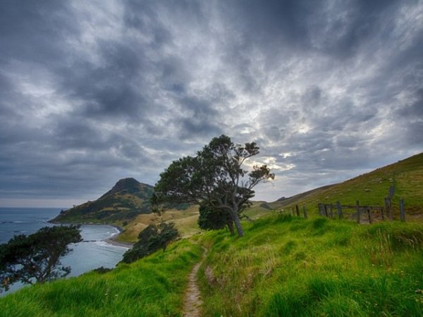 Нова Зеландия.&nbsp;Снимка: pixabay