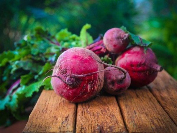 Червено цвекло
Вкусен зеленчук с високо съдържание на калий, фибри, желязо, витамини А, В и С, както и магнезий. Всички тези хранителни вещества спомагат за предпазване от свободните радикали, които водят до преждевременно стареене на кожата, както и различни кожни проблеми.&nbsp;&nbsp;Снимка: pixabay