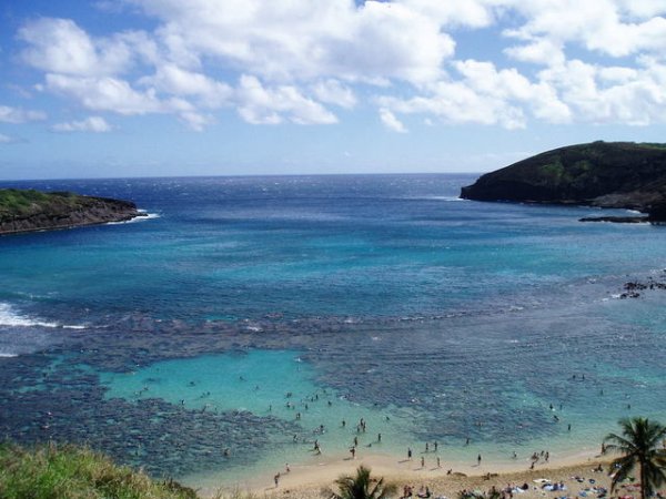 Hanauma Bay - Хавай Снимка: freeimages