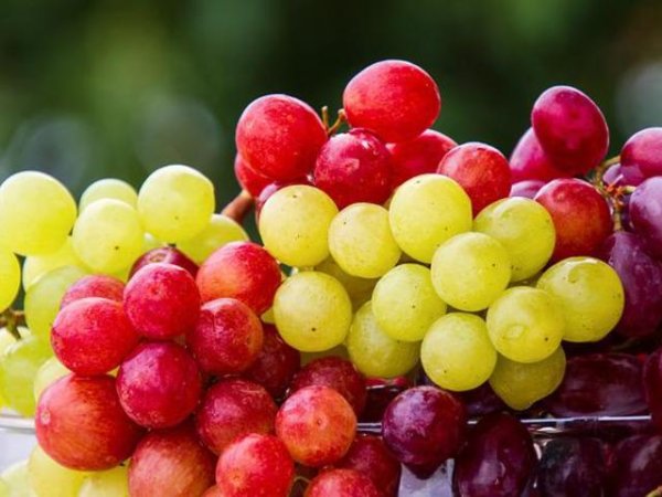 Грозде
Подобно на други полезни храни, гроздето съдържа полифенолни съединения, които могат да помогнат за намаляване на клетъчното увреждане. Консумирането на около 1 до 2 чаши грозде на ден също може да помогне за защита на нашите тъкани и намаляване на маркерите на възпаление, смятат учени. Гроздето, особено червеното е богато и на ресвератрол, който е мощен антиоксидант за здравето.&nbsp;&nbsp;Снимка: pixabay