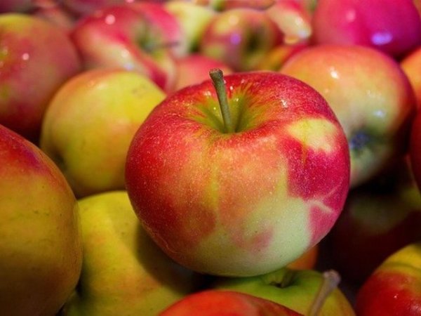 Ябълки
Всички знаем мъдрата приказка за ябълката и доброто здраве. Тя съвсем не е случайна. Редица западни изследвания доказват, че редовната консумация на ябълки може да помогне за намаляване на стойностите на общия холестерол. Това се дължи на фенолните съединения, намиращи се в ябълките, известни още като антиоксидантни съединения. Те насърчават здравата клетъчна функция и доброто кръвообращение. Снимка: pixabay