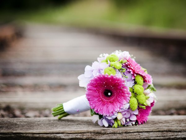 Снимка:&nbsp;istock