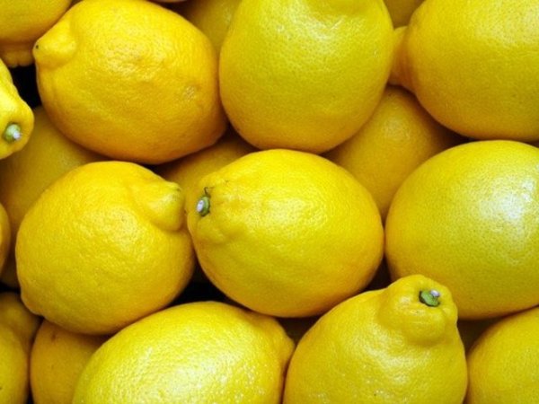 Лимони
Свежият лимон също е алкална храна. Как може да се възползвате от неговото алкализиращо действие? Може да добавяте лимонов сок в чаша вода, чай, да добавяте лимони към фреша, да го ползвате вместо оцет за овкусяване на салати, да се добавя към десерти и други.
Снимка: pixabay