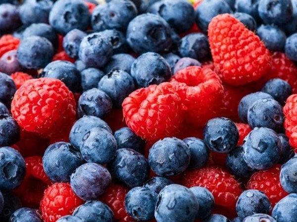 Горски плодове
Въпреки че всички горски плодове са полезни за красотата ни, сините боровинки са изключително добри, тъй като количеството на витамин С е най-високо в тях в сравнение с други плодове. За наличието на антиоксидантни антоцианини в плодовете също се смята, че помага за неутрализиране на свободните радикали, които ускоряват процесите на стареене.&nbsp;&nbsp;Снимка: pixabay