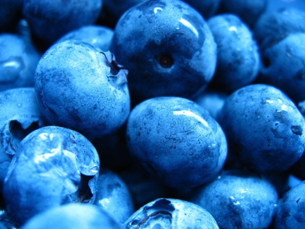 Сини боровинки
Малките лилави плодчета дължат своя цвят на съединение наречено антоцианин, който е естествен подобрител на настроението. Боровинките са богати и на вода и фибри, което допълнително ще подобри процеса на изгаряне на мазнините. &nbsp;Снимка: freeimages