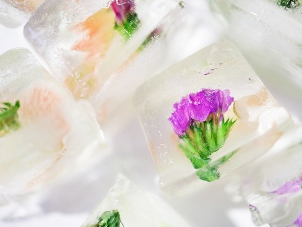 Лед
Ледът свива кръвоносните съдове и намалява увисването на клепачите. Сварете лайка, коприва, розмарин и замразете отварата във формички за лед. Може да ползвате и кубчета лед само от чиста вода. Просто ги сложете в тензух и приложете за кратко време върху клепачите.&nbsp;Снимка: pixabay