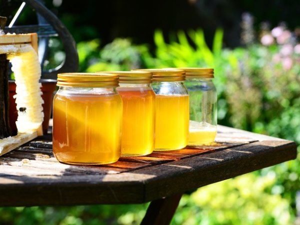 Пчелен мед
Медът е суперхрана, когато става въпрос за ензими, тъй като съдържа амилаза, протеаза, диастаза и инвертаза, сочат изследвания. Ето защо, ако искаме да поддържаме добро чревно здраве е важно да включим в менюто си качествен мед. Медът подсилва имунитета, а около 80% от имунните клетки се намират в червата.&nbsp;Снимка: pixabay