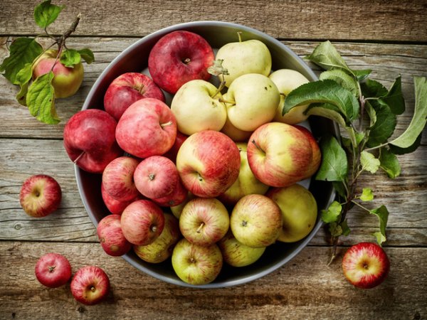 Ябълки Най-общо  храните се делят на киселинни и алкални. Киселинните храни предизвикват пожълтяване на зъбите и спомагат за тяхното разваляне. Алкалните храни пък имат обратния оздравителен ефект върху здравето и белотата на зъбите. Такива са ябълките. Те повишават pH в устната кухина до здравословни нива като по този начин правят зъбите по-чисти и по-бели. Снимка: istock