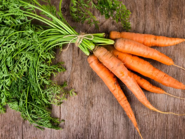 МорковиХрупкавите и оранжеви моркови са изключително богати на витамини, полезни за зъбите. Те са и много наситени с фибри. Хрупкането на моркови помага за отстраняване на плаката от зъбите по естествен начин. Това ги прави по-бели и здрави. Освен това морковите повишават pH на тялото и устната кухина като по този начин създават полезна алкална среда. Те са истински заместител на четката за зъби! Снимка: istock