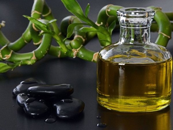 Ленено масло за детоксикация
Лененото масло е едно от най-полезните масла, което се използва от хилядолетия. Широкият набор от мастни киселини, витамини и калий, го правят подходящо за ежедневна консумация. То спомага детоксикацията на тялото и подобряване на метаболитните процеси. &nbsp;Снимка:&nbsp;pixabay